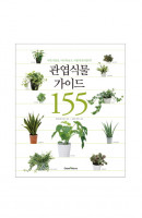 관엽식물 가이드 155