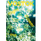 보스토크(Vostok). 24